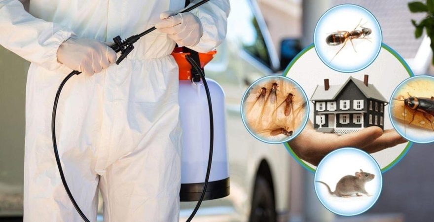 Mihalgazi Böcek İlaçlama