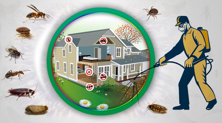 Mihalgazi Böcek İlaçlama