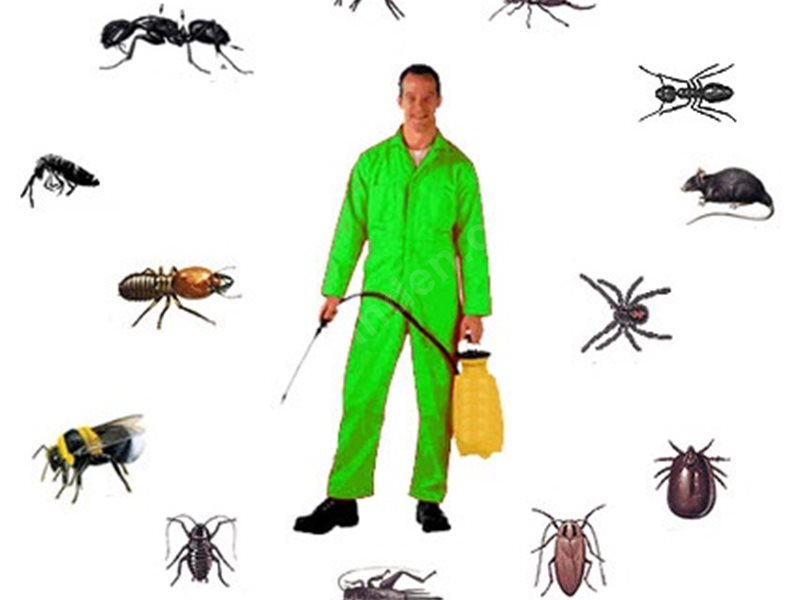 Mihalgazi Böcek İlaçlama